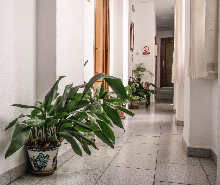 Pension Ciudad Navarro Ramos Granada Esterno foto